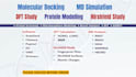 perform molecular docking, MD simulation by gromacs, and protein modeling