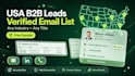 build USA targeted email list building and b2b lead generation
