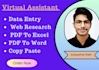 do data entry, write and insert data in excel