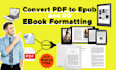 convert pdf to epub and do ebook formatting