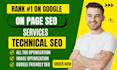do onpage SEO optimization service to increase website organic traffic