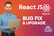 fix bugs for react app