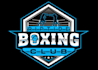 design wonderful boxing logo