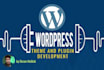 craft custom wordpress plugins and themes for you