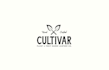 plant fruit based leather co logo