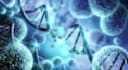 teach biology and science to students
