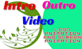 do professional intro, outro video and logo animation