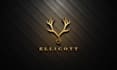 design outstanding elegant modern minimalist business logo