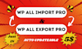 install wp all import pro, wp all export pro with auto updates