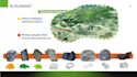 create customized slides with visual impact