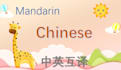 provide pro and valuable written translation