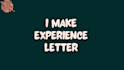 provide a professional experience letter