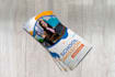 design academic tri fold brochure design in 1 day