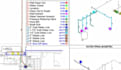 plumbing takeoffs and estimation for USA, australia, ksa and worldwide projects