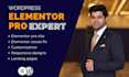 be your professional elementor pro expert