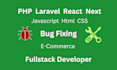 fix bugs setup scripts in PHP laravel js react next websites