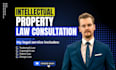 consult you on intellectual property law