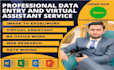 do data entry, web scraping, excel, typing, copy paste work