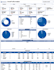 create looker studio or google data studio dashboard