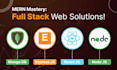 do web development using mern stack