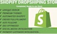 create shopify dropshipping store, shopify store setup, shopify website design