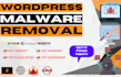 do wordpress malware removal, virus removal and security