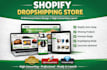 design shopify store, dropshipping website, ecommerce store