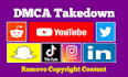 protect your product content from piracy under dmca