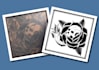 recreate redraw any tattoo design from any photo