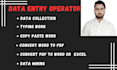 do data entry for any client with accuracy and time delivery