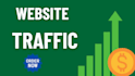 increase your website traffic with social media promotion