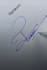 create stylish professional signature and autograph