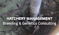 be your fish breeding and hatchery management consultant