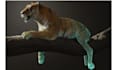 create 3d realistic animal model xgen fur cgi vfx rigging for animation and game