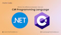 do programming and developing any desktop application
