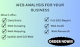 web research and analysis, web map, visualization