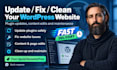 assist by updating your wordpress website