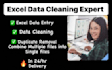 do excel data cleaning, formatting, merging, splitting and CSV conversion