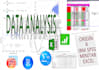 do data analysis and reporting services