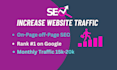 increase your website organic traffic and more sales