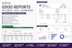 create, customize odoo PDF qweb excel reports and dashboards