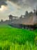 plan your bali travel itinerary in a authentic way