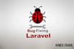fix PHP laravel bug and issues