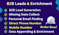 do b2b lead generation, direct phone number, cell phone, data enrichment, email