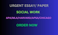 write an essay on social work