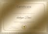 do professional certificate design
