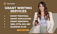 write a grant proposal, application and letter of intent