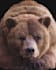 do 3d cgi animal compositing, 3d animal model and animation, cgi vfx, vfx, cgi