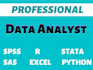 professionally conduct data analysis with spss, sass, excel, r, or python