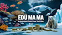 do create edu mama ai animal rescue videos cash cow